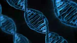 Dna Dieta Tabulka